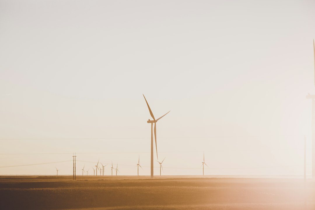 wind turbines in field