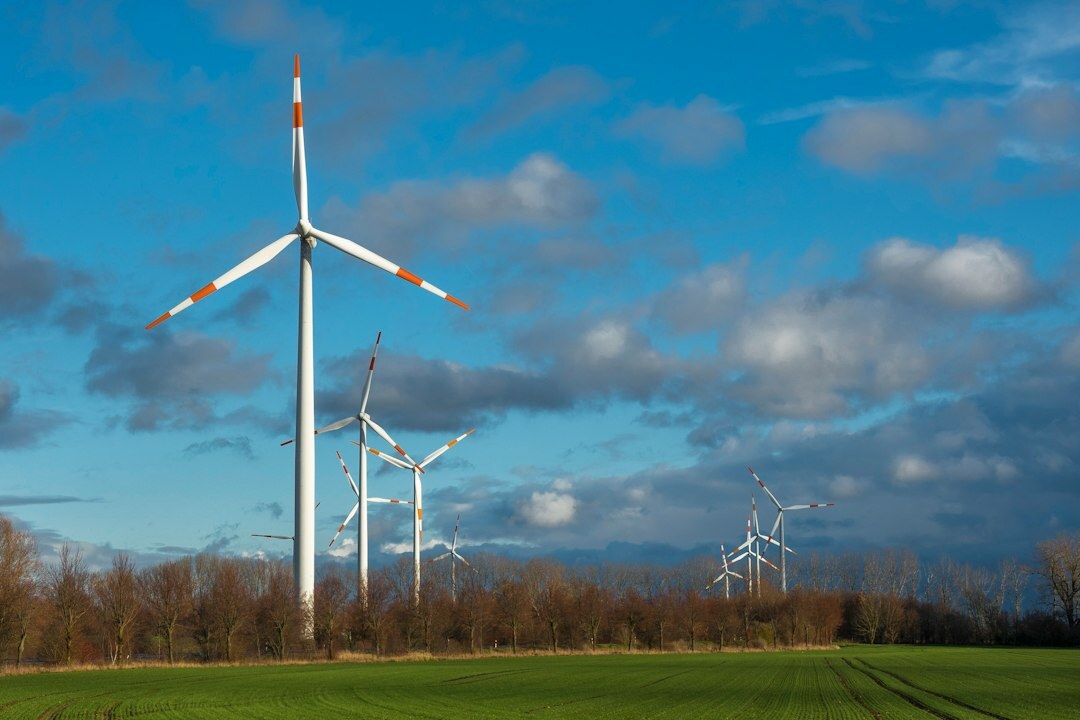 wind turbines in field