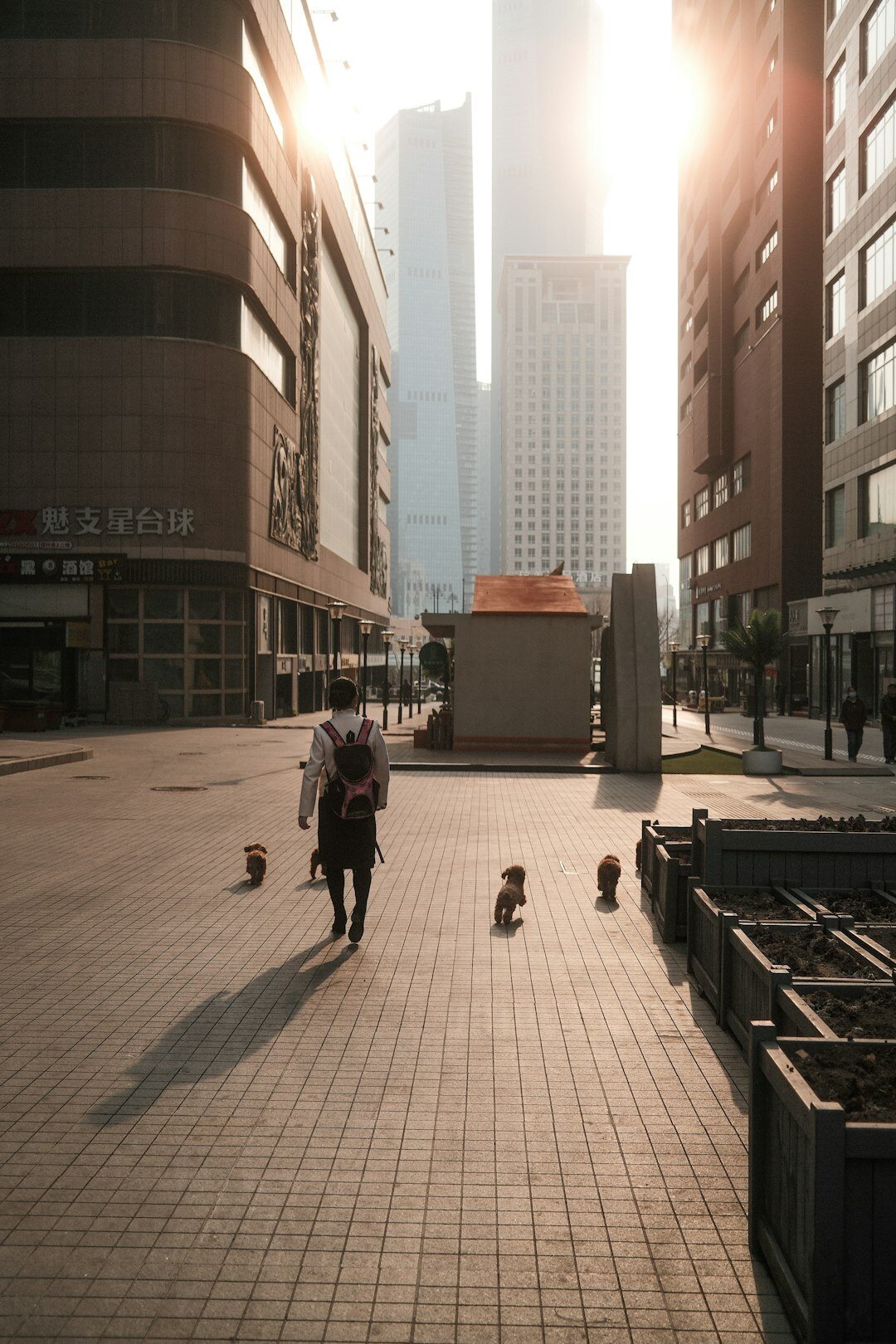 elderly people in modern city